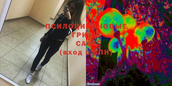 сатива Абинск