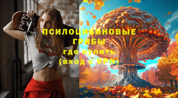 круглые Нягань